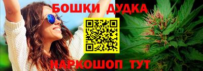 дмт Новодвинск