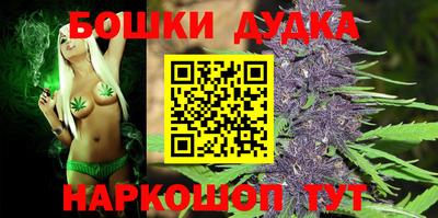 дмт Новодвинск