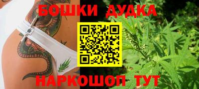 дмт Новодвинск