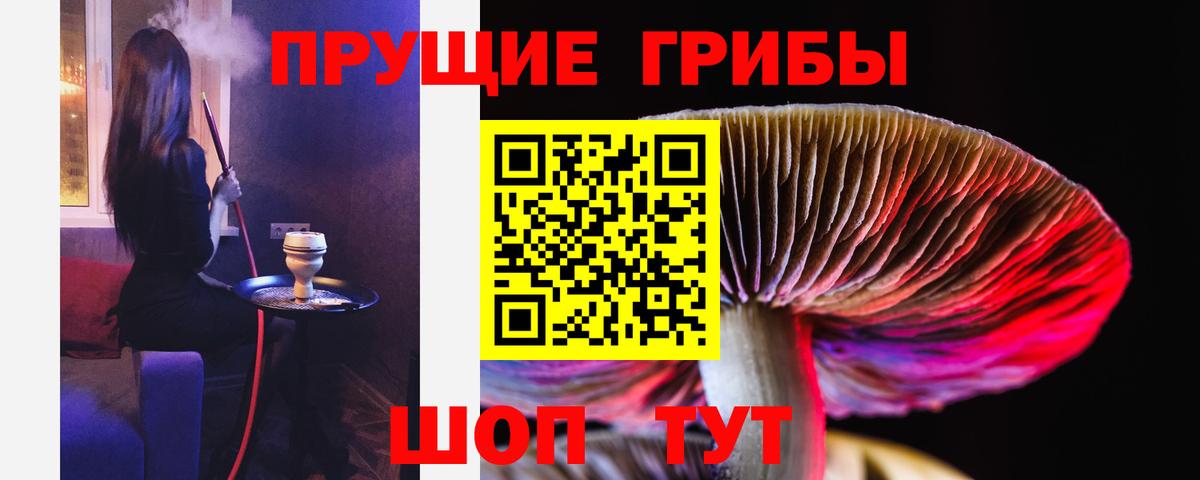 Псилоцибиновые грибы мухоморы  Псилоцибиновые грибы Psilocybine cubensis  Геленджик  Вход с VPN 